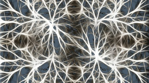 neurons-582054_1920