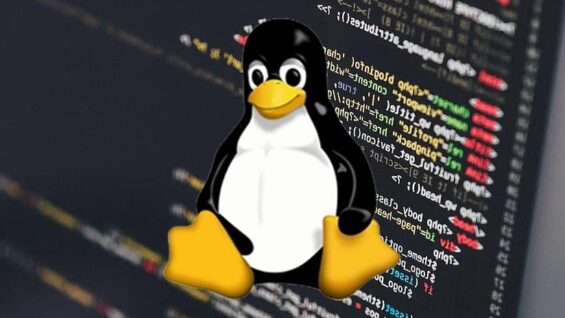 Tux pingüino mascota de Linux