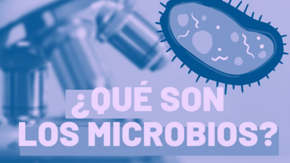¿Qué son los microbios?
