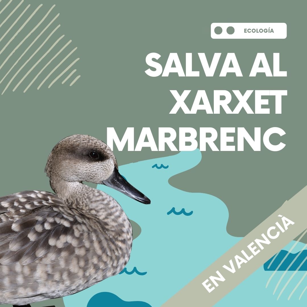 XARXET-MARBRENC-JOC-XIQUETS-GRATIS-ANIMALS DE LA COMUNITAT VALENCIANA