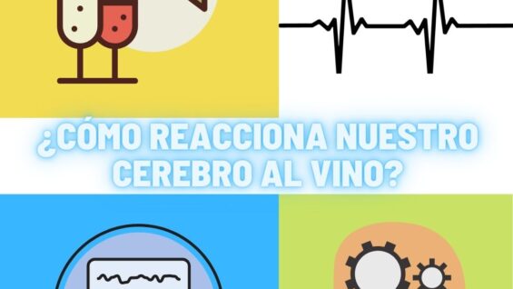 ¿Cómo reacciona nuestro cerebro al beber vino (1)
