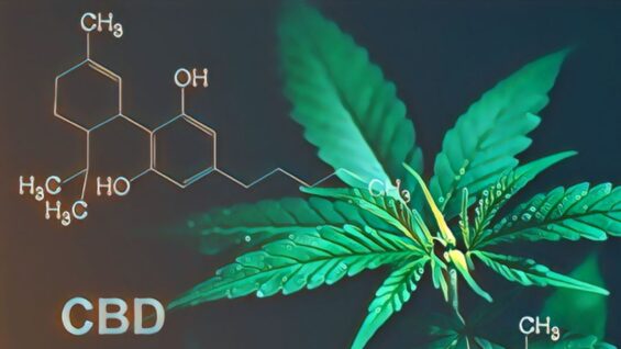 CBD para tratar el espectro alcohólico fetal