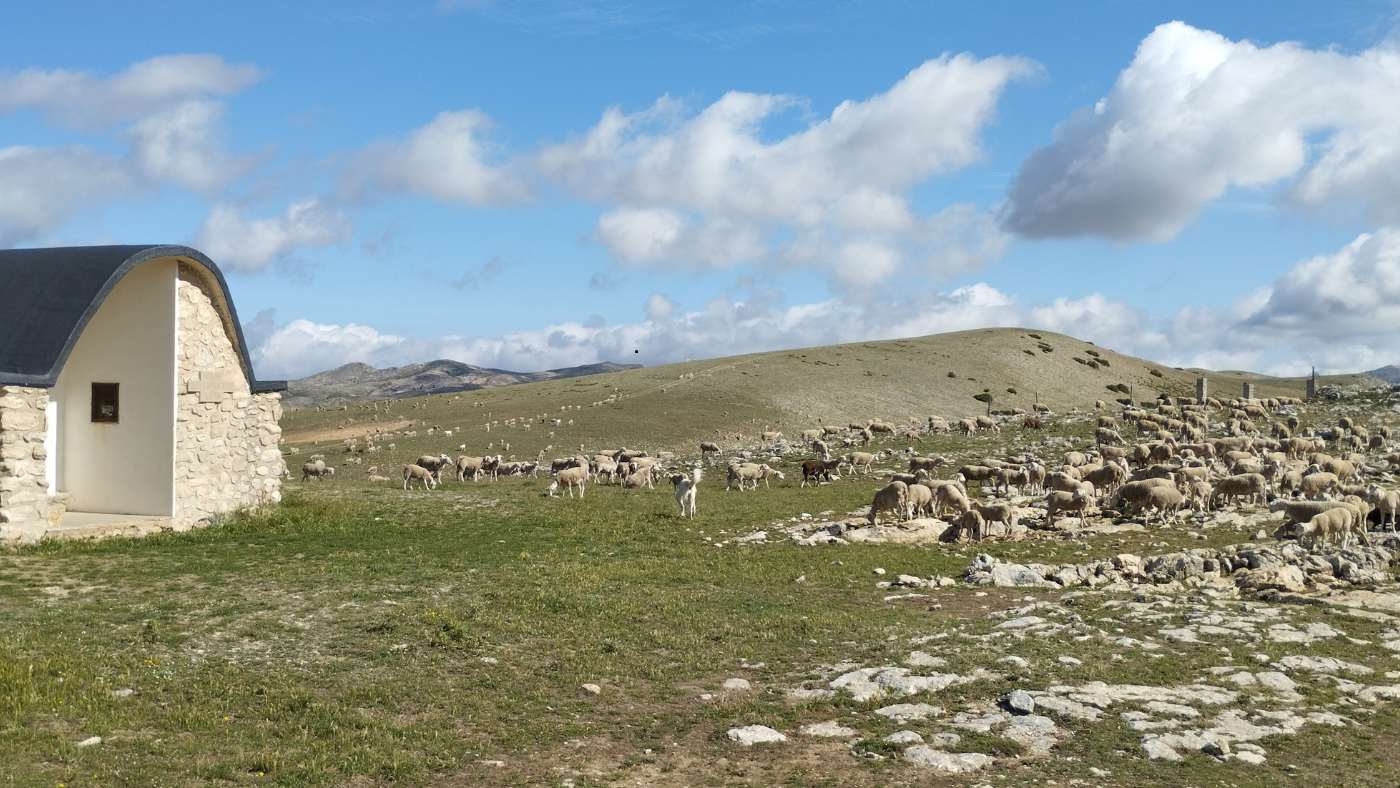 landscape-ecology-sierra-cazorla