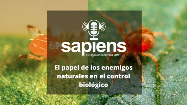 El papel de los enemigos naturales en el control biológico